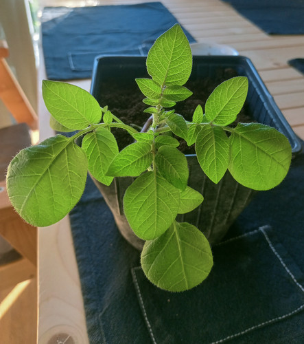 IMG 20260423 075649.jpg