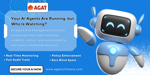 Reliable AI Agent Risk Management for Business Security.png