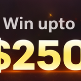 233