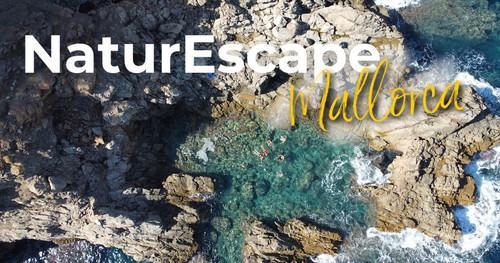 naturescapemallorca main image.jpg