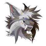 IMG 1942 optimized.png