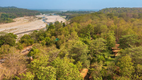 Best Forest Stay in Jim Corbett at Bijrani Jungle Cottages.jpg