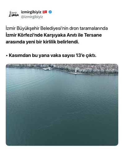 95b6911f163a.jpg
