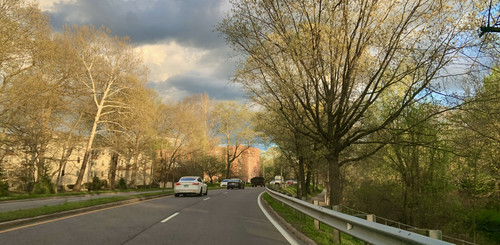 IMG 4241.jpg