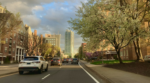 IMG 4244.jpg