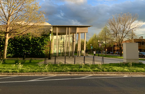 IMG 4246.jpg