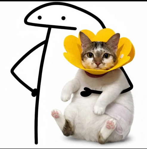 file.jpg