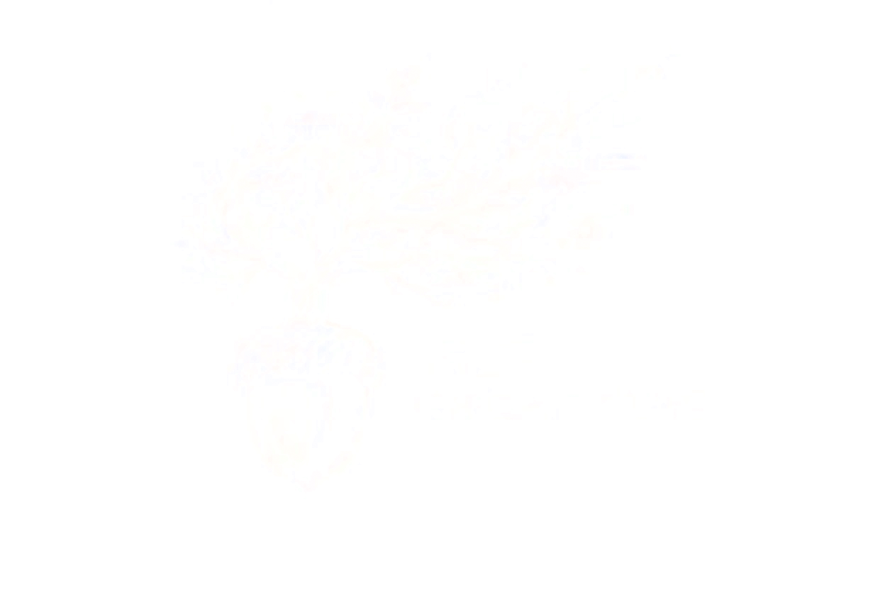 RS Creations