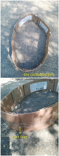 cardboard belt.jpg