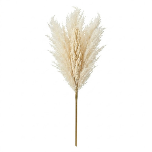 20ef7e69 51d1 46e3 810e c2e23cc6f467.jpg