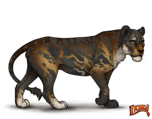 IMG 6083.png