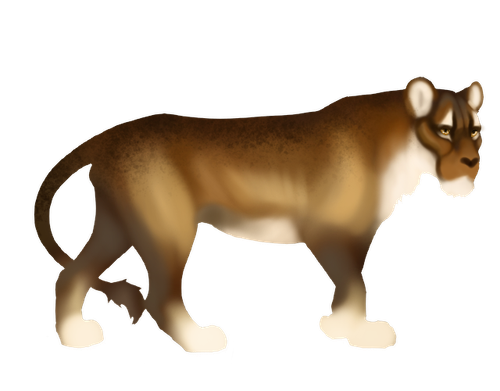 IMG 6080.png