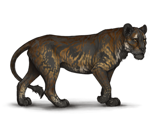 IMG 6082.png