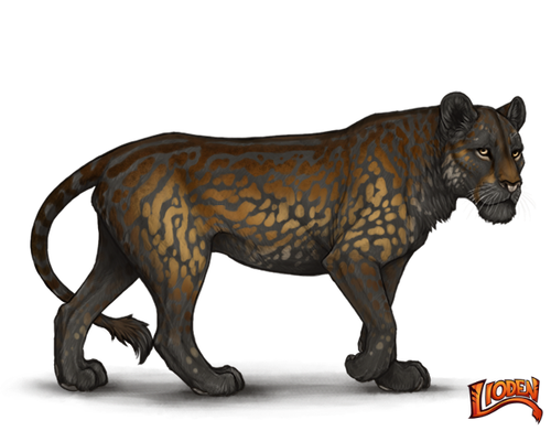 IMG 6084.png