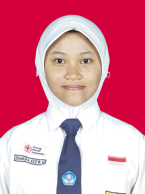 322215.jpg