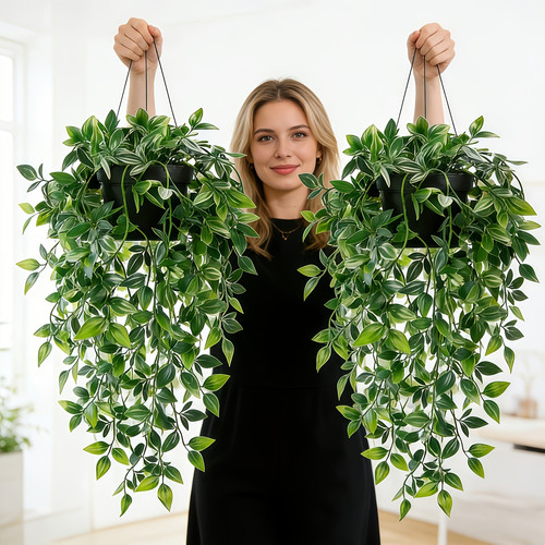 product 50.jpg