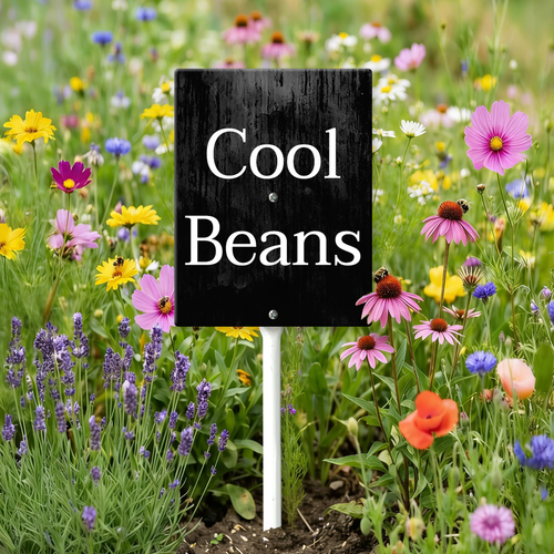 11 0424DC25N 04.png