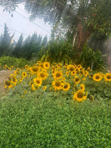 05c30f10e923.jpg