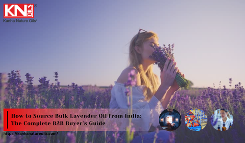How to Source Bulk Lavender Oil from India The Complete B2B Buyer’s Guide.png
