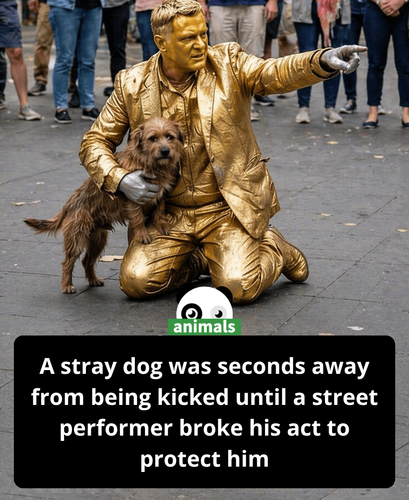 503. The Golden Man, a street performer known for standing motionless for hours in the city square, .png