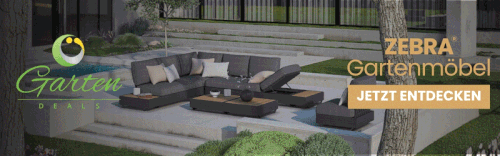 800x250.gif