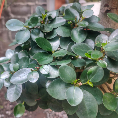 DhIQWmdswUycFGZptEdc73YiQC w K3c6vZKwBI UhXPEFy4ozwy AcjBHFhJYtah AVr6kp60LUaRKHs82qkKTgGqtanzGOwIG .jpg