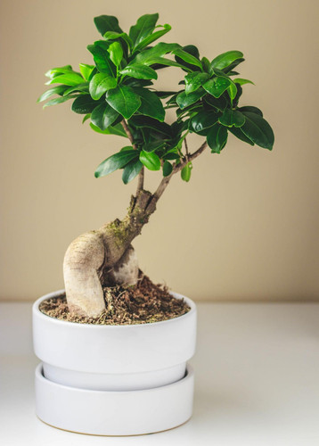 n2l FIq3MpgfHJwUT8zzYn4vg6VGgKZdO55Lb1riUEyfsv839SLnfwM 6UfNtHMyzrQr97oVCjCu5dfbo2bLptYJT6gVQHCw9EEj.jpg