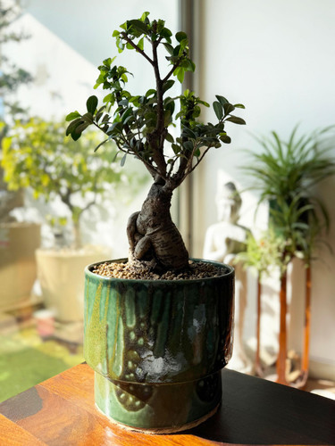 FYUeYX7P1Sg hUmbMQANN9CsqUEPMcyD7CsqyOq2Vi0dpboAcq4I3iKRKlqxF9hBqgsqoRXY7GSxTjmLYgYsaSibcja4ZIvOYZNI.jpg