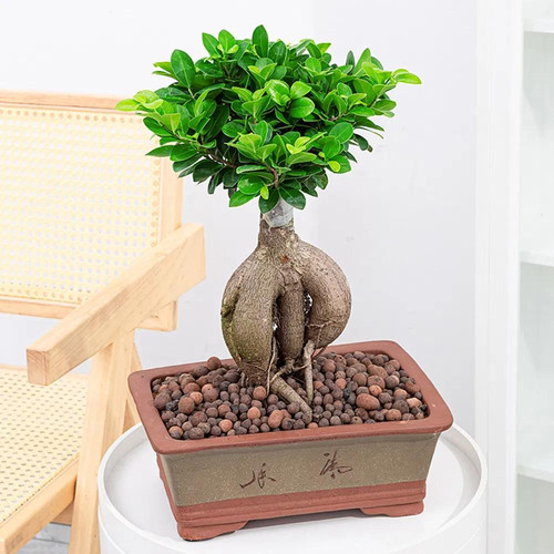 oYG3l3F8jJLypG7NaaDRF9LlljKUcgq ztY66qqyLgNNXCCYdPgfY5suC gKgJSuFF5nSEYhiB8Dnbh5H FEWgBLu3c7HaS8lvmx.jpg