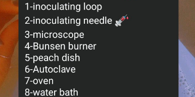temp.png