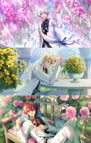 Collage 20260424 170355.jpg