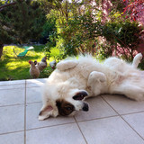 IMG 20260419 WA0022