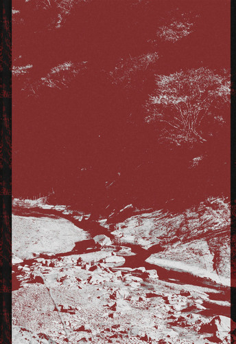 artwork libro retro with wrap.jpg