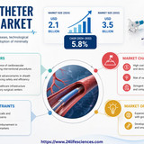 httpswww.24lifesciences.com (15)
