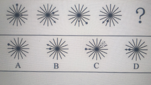 temp.png