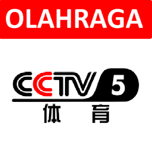 cctv5.png