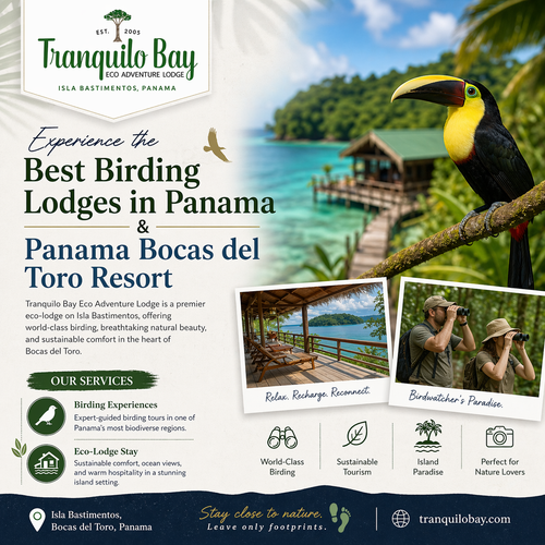 Best Birding Lodges in Panama and Panama Bocas del Toro Resort Getaway.png