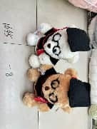 image.1