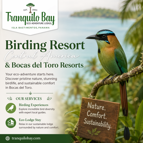 Top Birding Resort in Central America and Bocas del Toro Resorts Experience.png