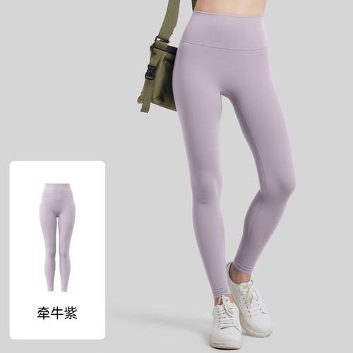 牵牛紫.jpg