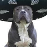 1000002766.png