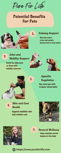 Hemp Formula Tincture For Pets.jpg