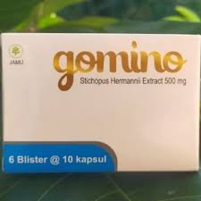 Gomino 2.jpg