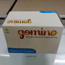 Gomino 1.jpg