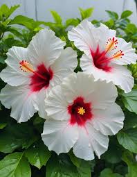 cdf259dd 158b 431c 9550 8caefb739db7.jpg