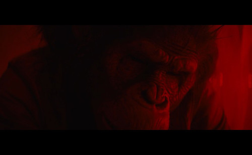 screenshot005.jpg