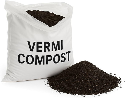 a7391148 c449 4b04 8dc8 85866ebf148a.jpg