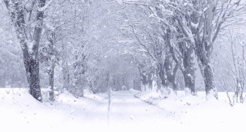 1000022413.gif