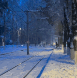 1000022409.gif