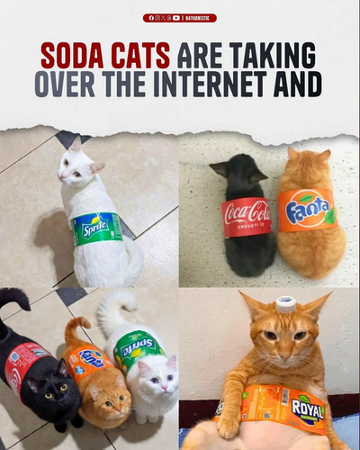 eff319d0cb53.png